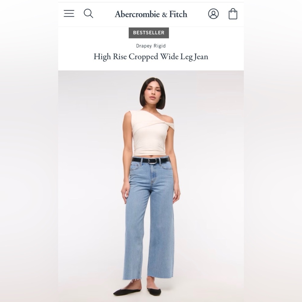 Abercrombie & Fitch High Rise Cropped Wide Leg Jean - Curve Love